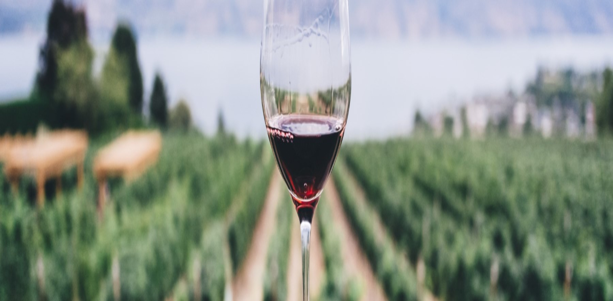 Quality of red wine Image